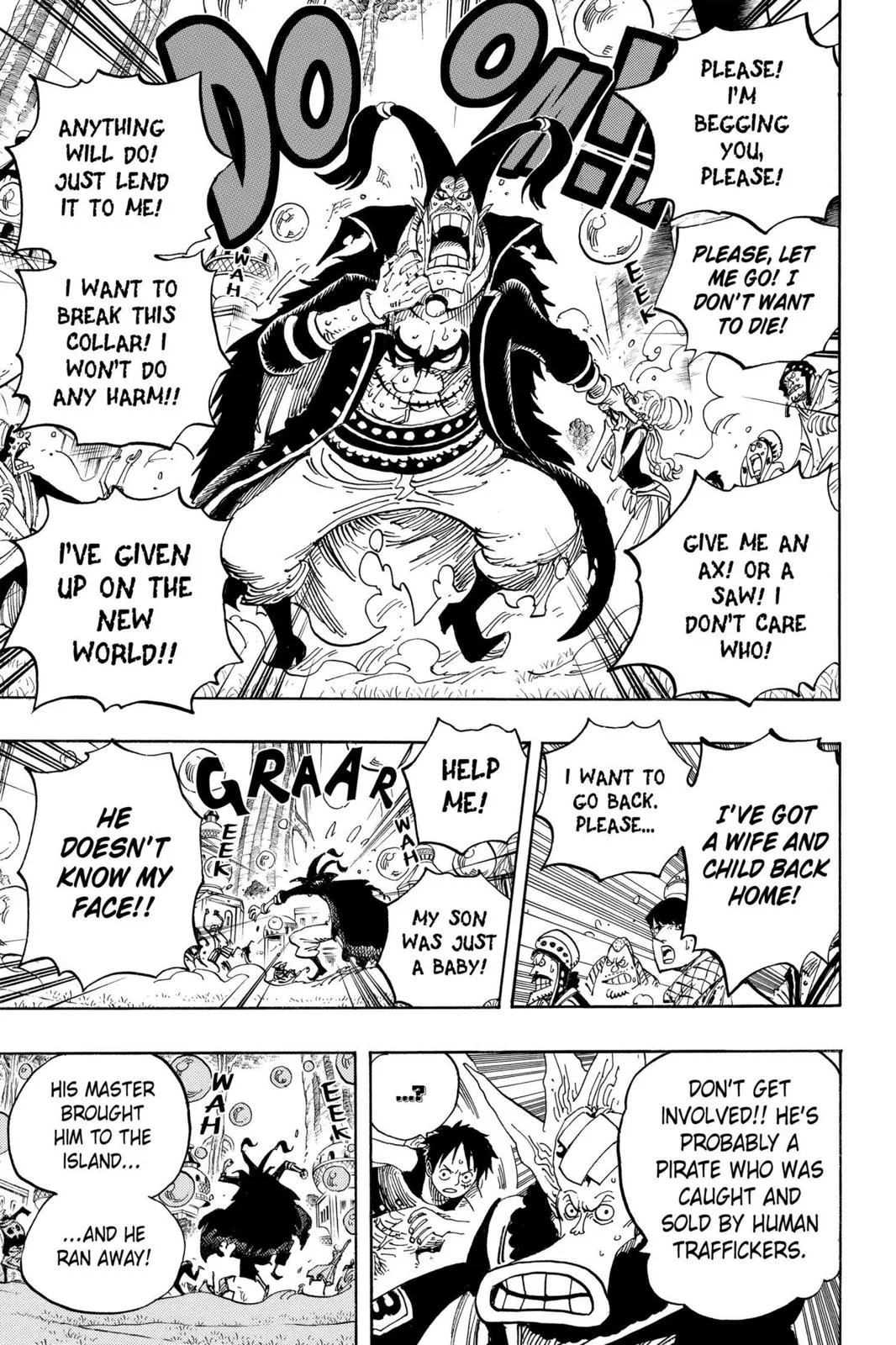 One Piece - Chapter 497 - Page 13