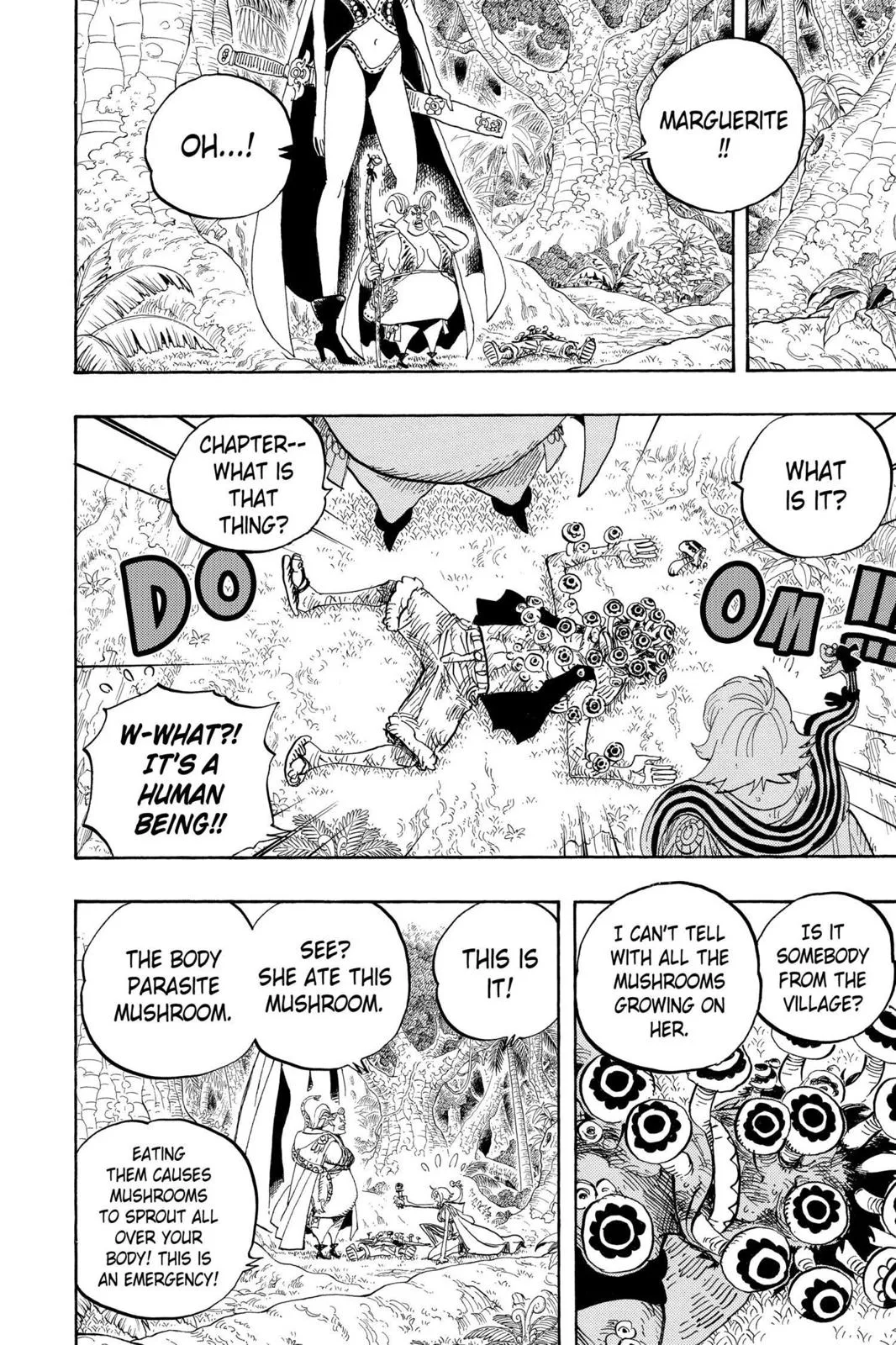 One Piece - Chapter 514 - Page 13