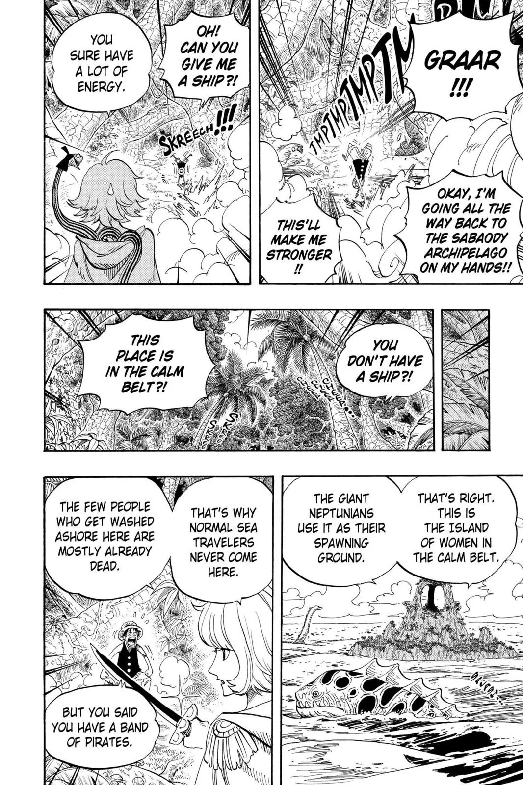 One Piece - Chapter 516 - Page 4
