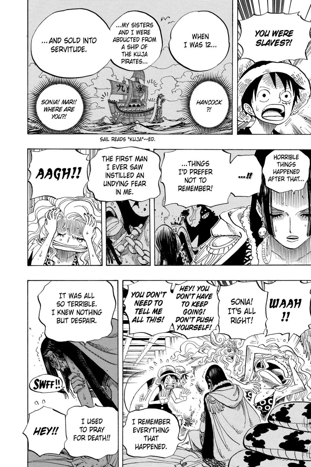 One Piece - Chapter 521 - Page 14
