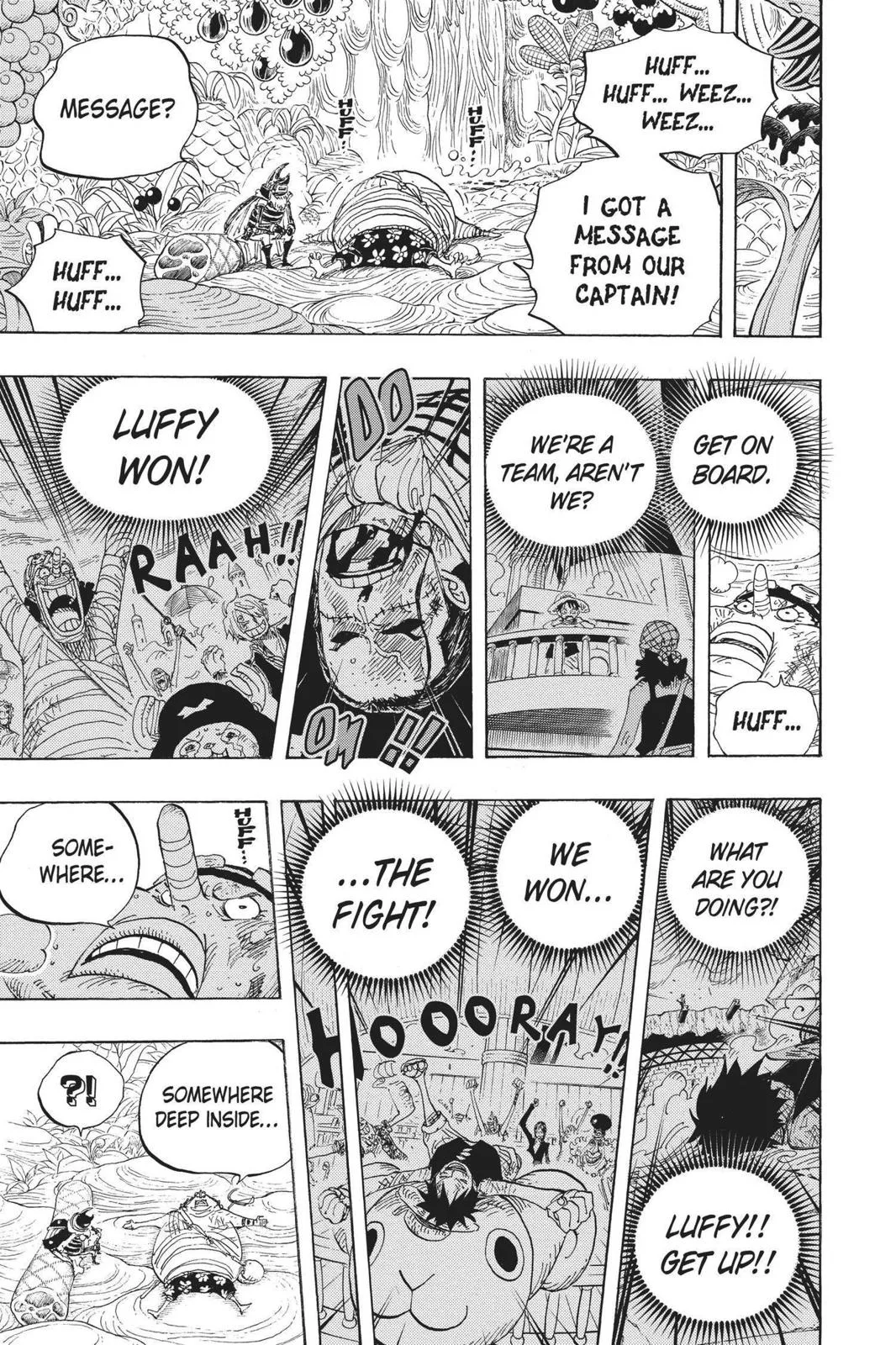 One Piece - Chapter 596 - Page 17