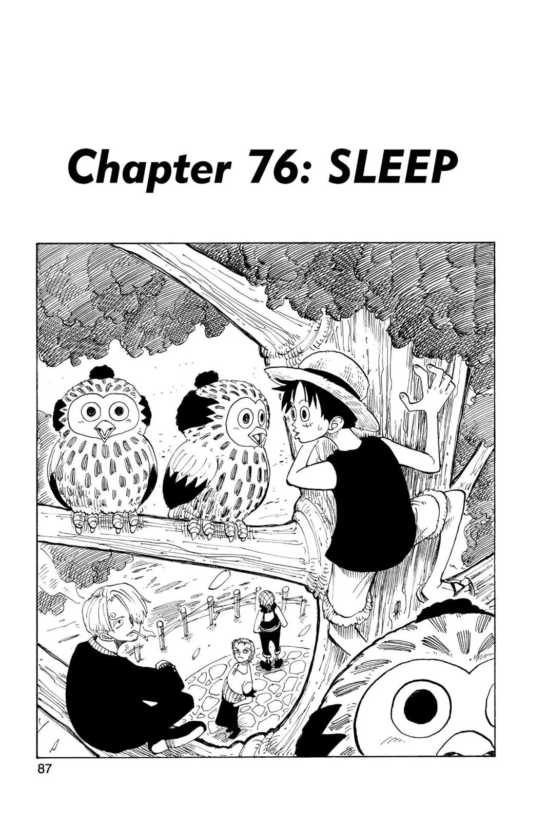 One Piece - Chapter 76 - Page 1