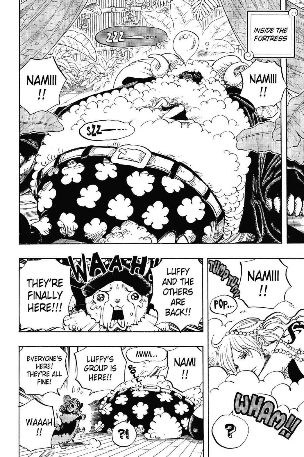 One Piece - Chapter 806 - Page 12