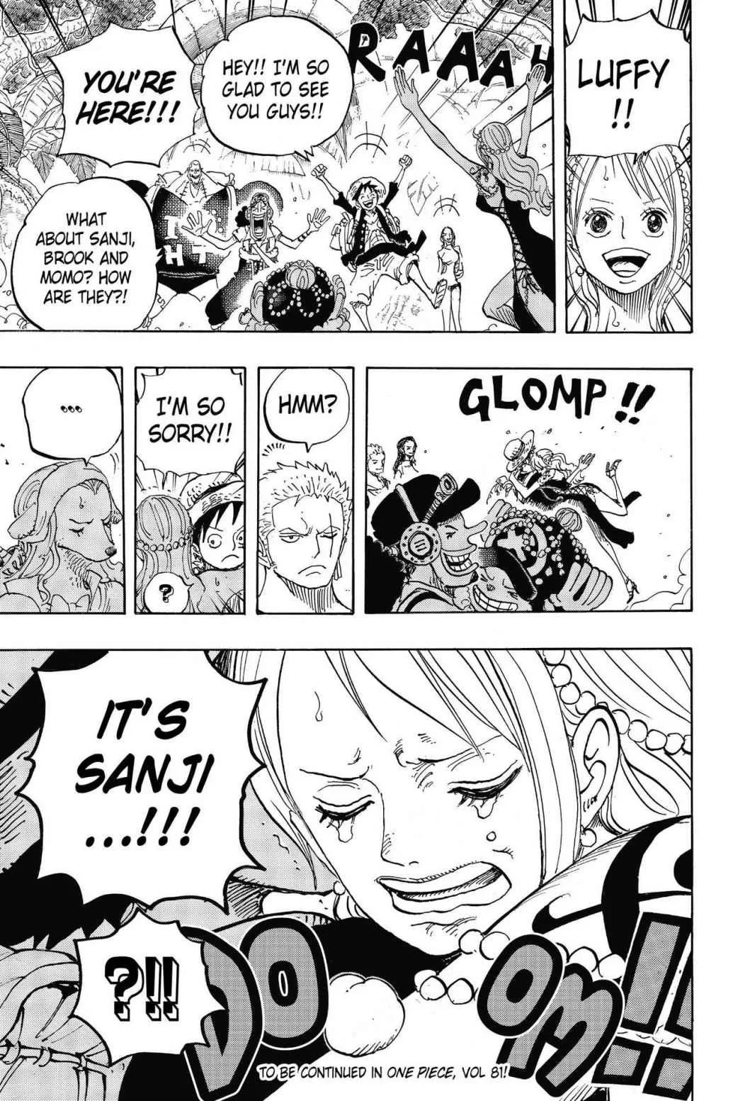 One Piece - Chapter 806 - Page 16