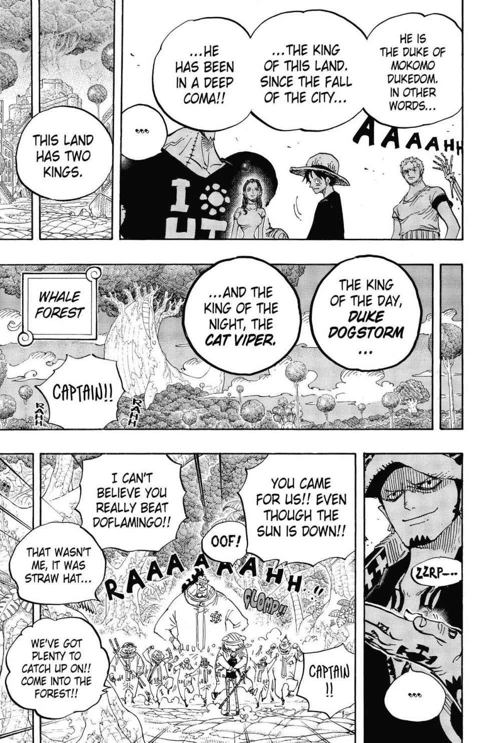 One Piece - Chapter 807 - Page 20