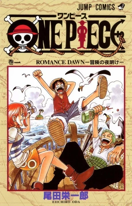 One Piece Cover 1