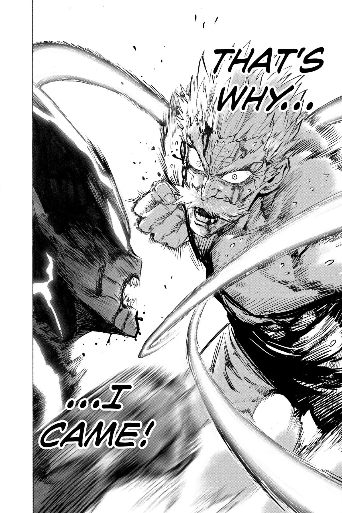 One Punch Man - Chapter 158 (2 Bad) - Page 17