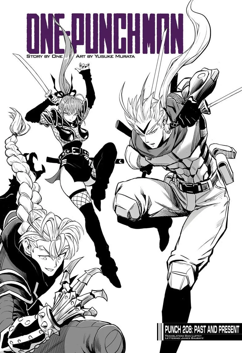 One Punch Man - Chapter 208 (Special) - Page 2