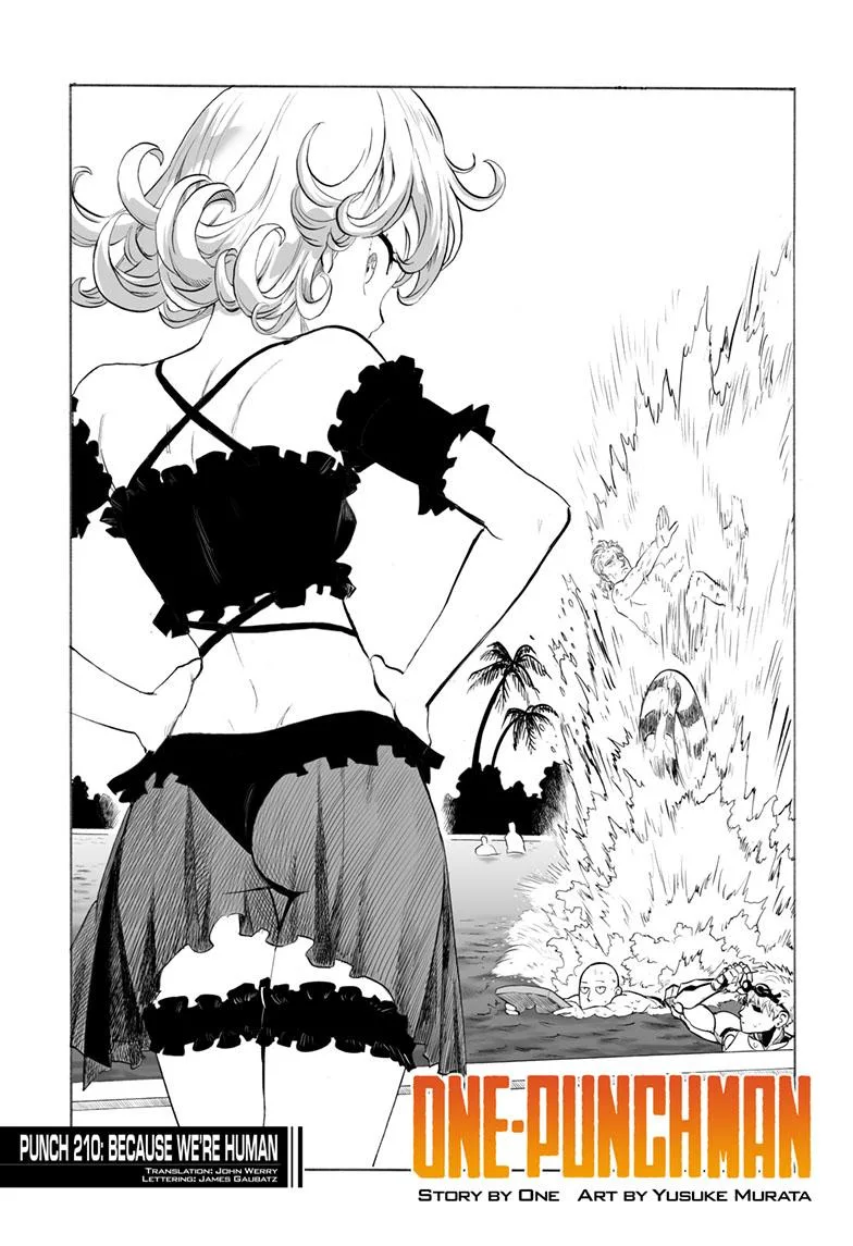 One Punch Man - Chapter 210 (Intensive Training Camp) - Page 1