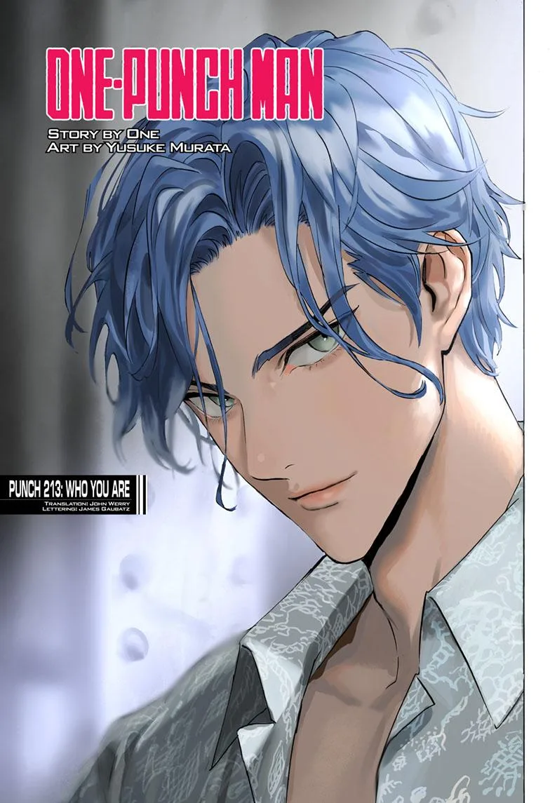 One Punch Man - Chapter 213 (Public Eye) - Page 1