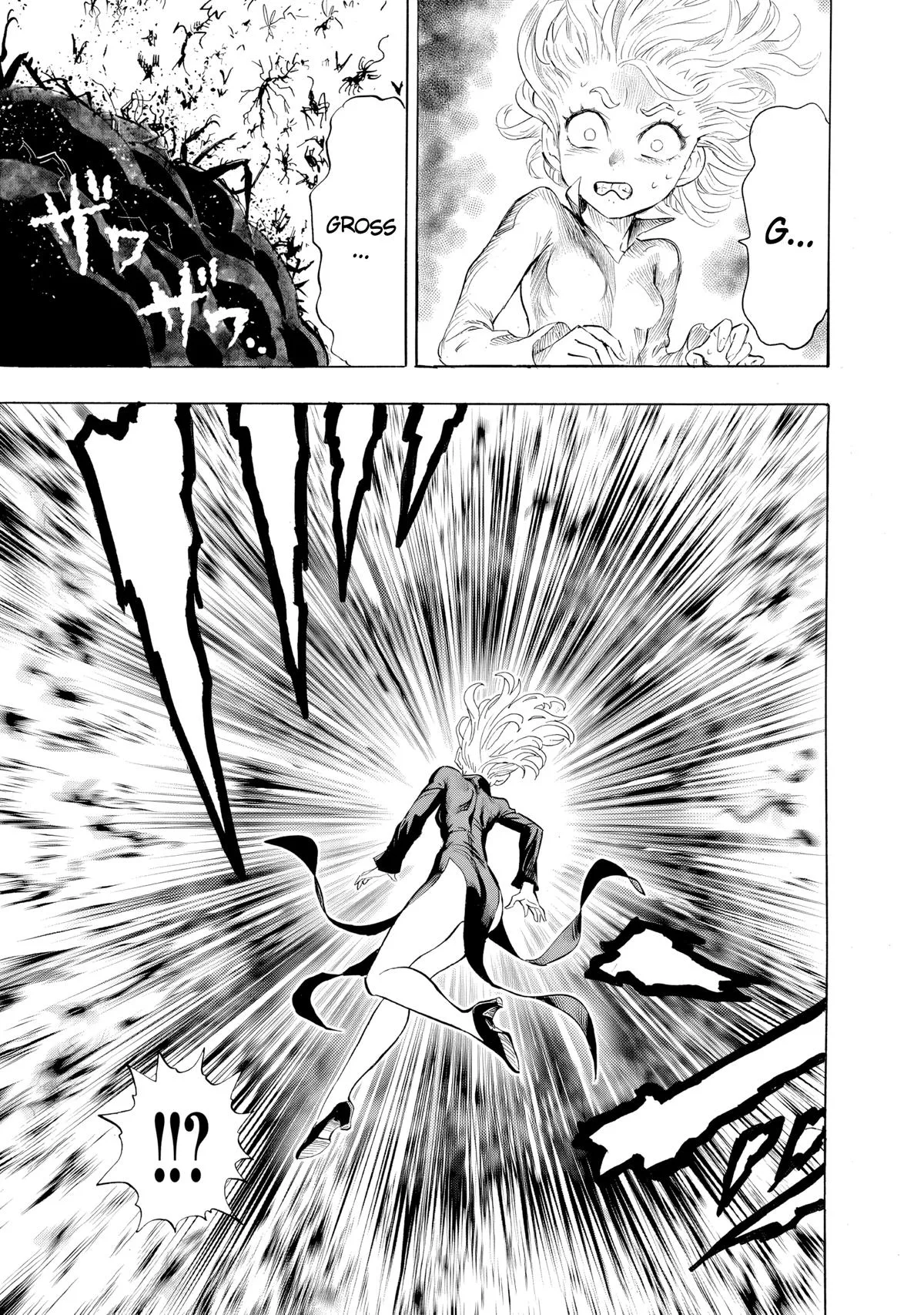 One Punch Man - Chapter 226 (Fury) - Page 13