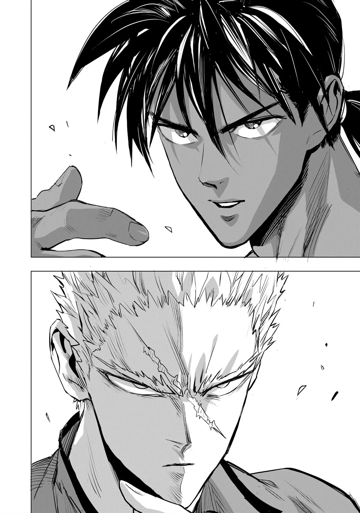 One Punch Man - Chapter 236 - Page 14