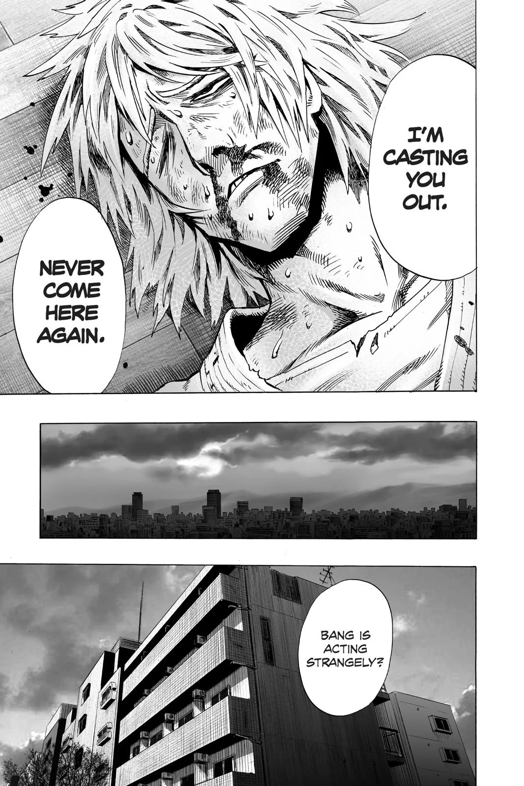One Punch Man - Chapter 46 (Hero Hunt) - Page 3