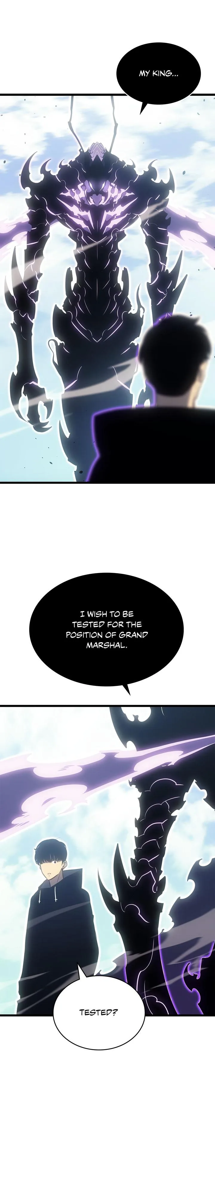 Solo Leveling - Chapter 167 - Page 25