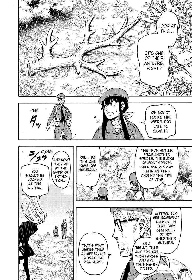 Spy x Family - Chapter 116 - Page 8