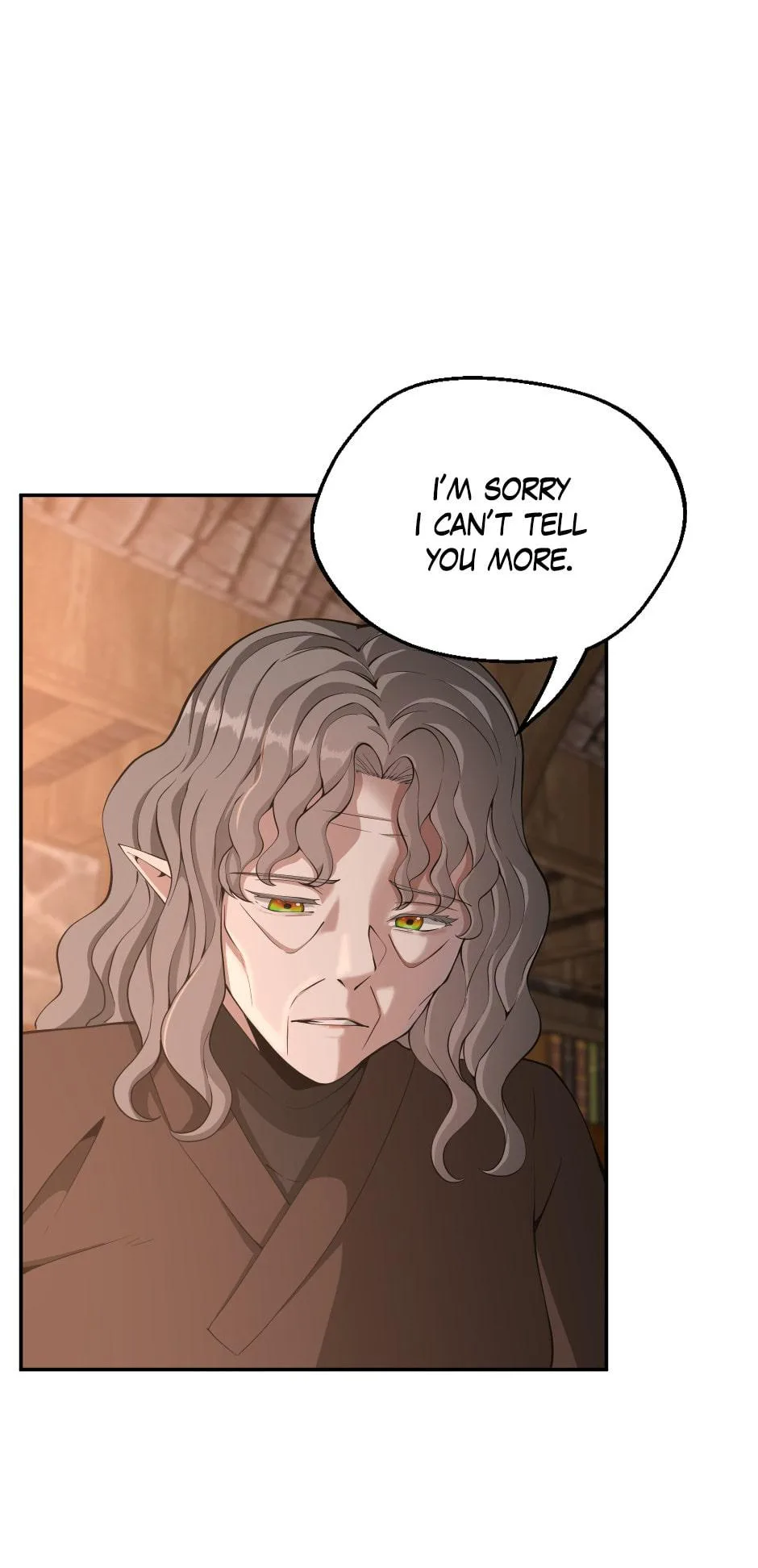 The Beginning After The End - Chapter 132 - Page 29