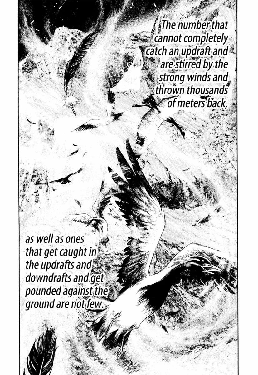 The Climber - Chapter 168 - Page 13