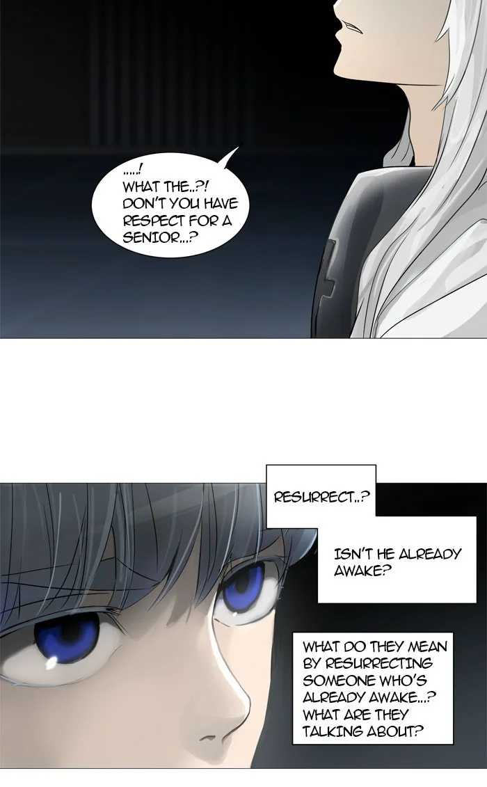 Tower of God - Chapter 245 - Page 29