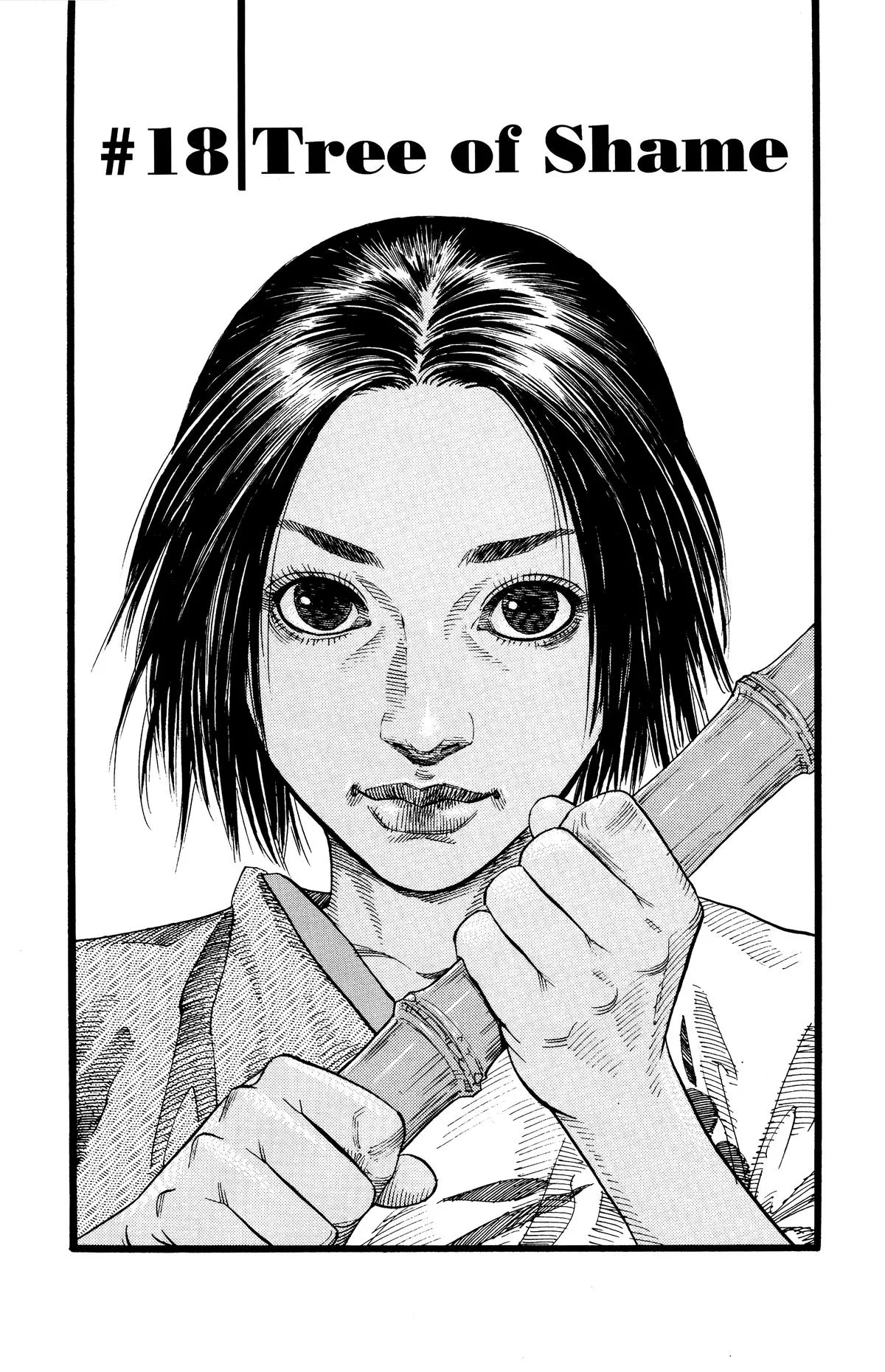 Vagabond - Chapter 18 - Page 1