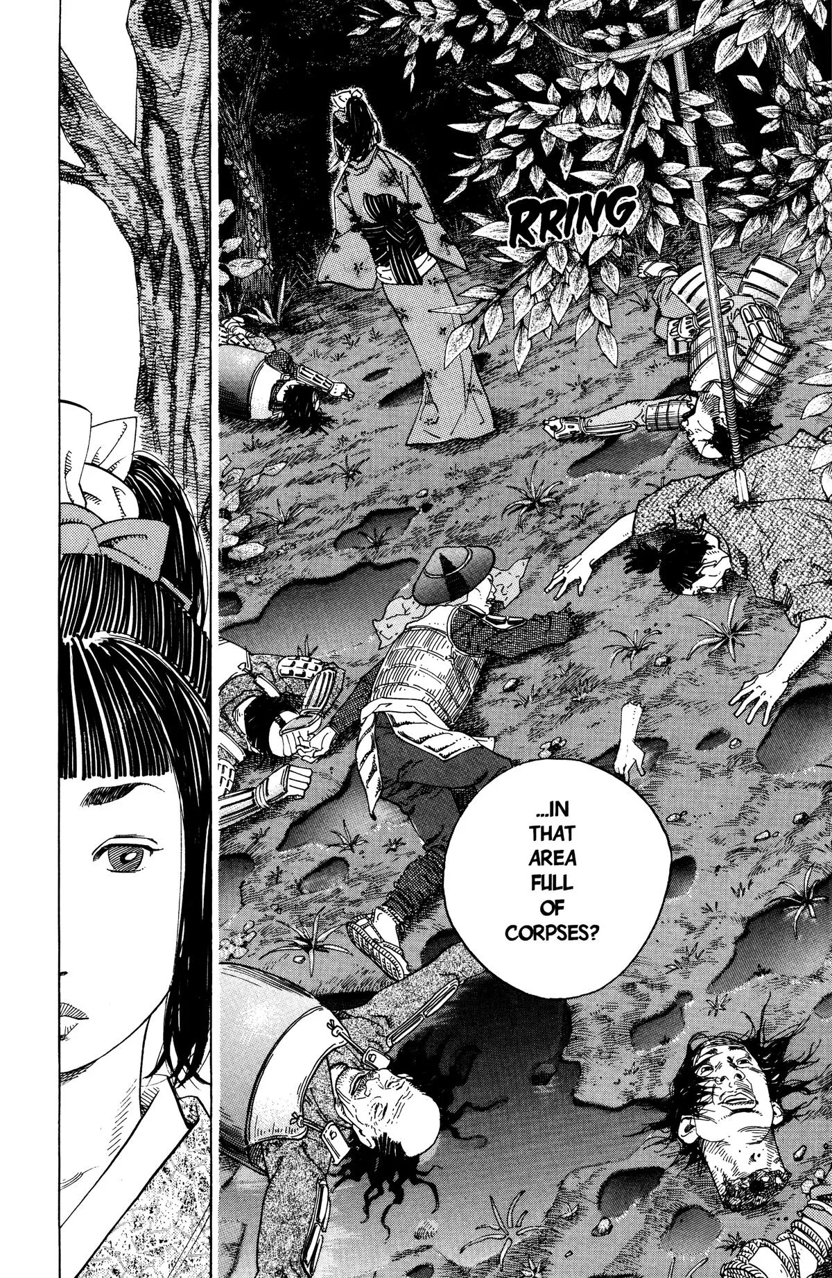 Vagabond - Chapter 2 - Page 14