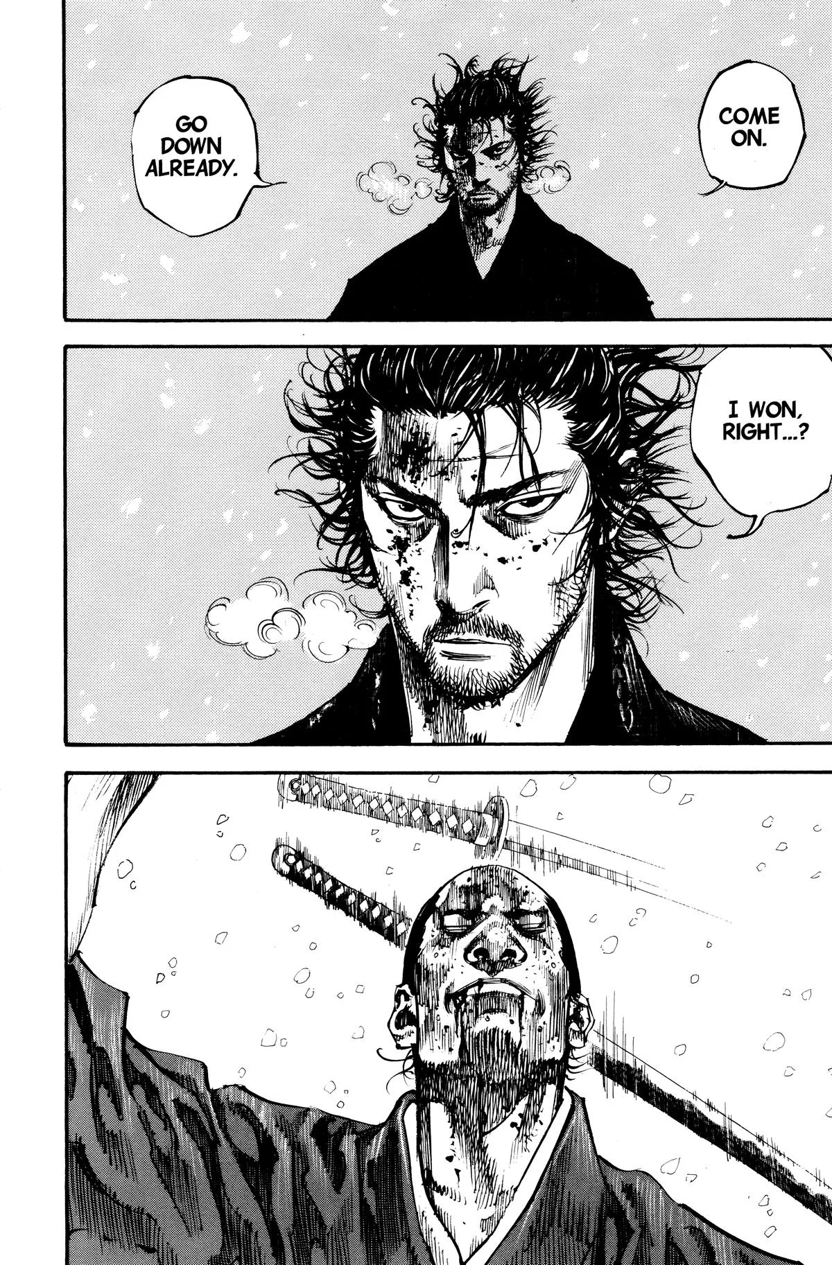 Vagabond - Chapter 218 - Page 13