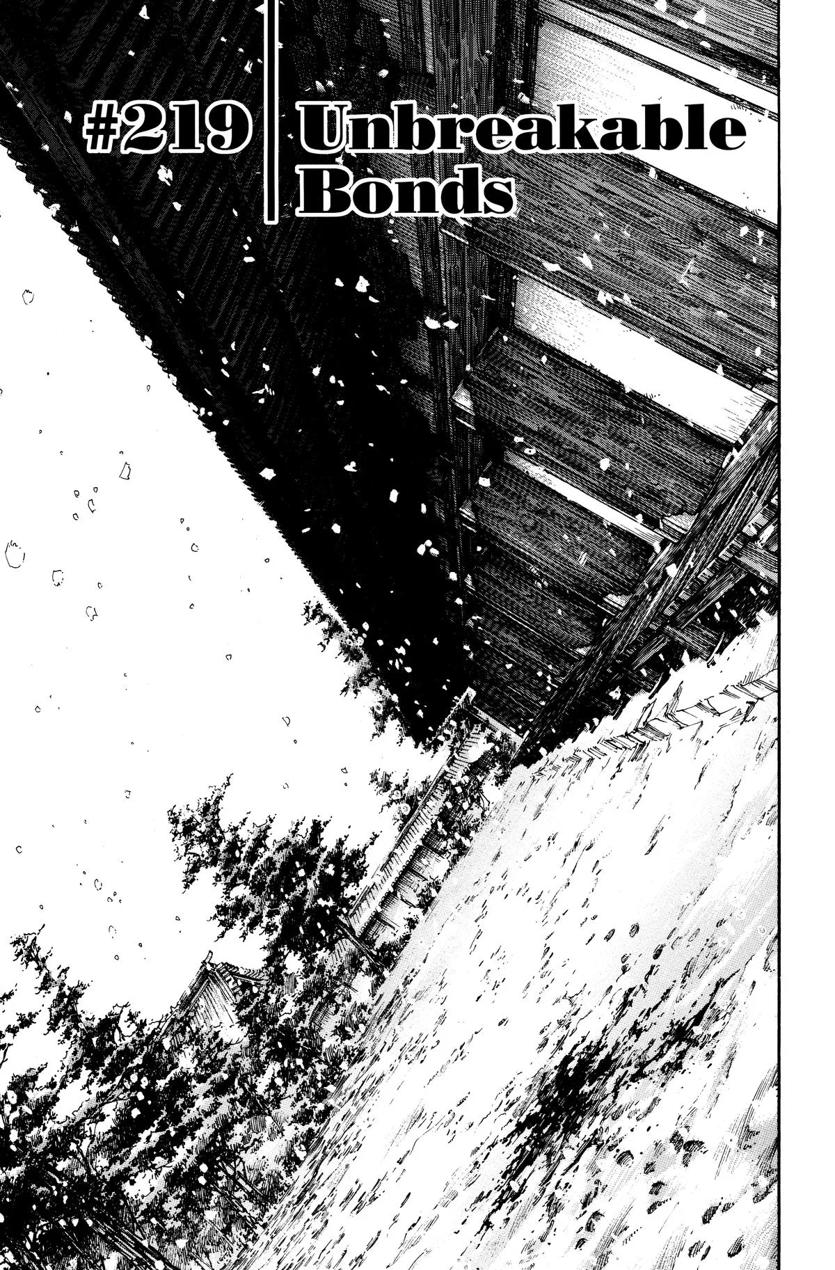 Vagabond - Chapter 219 - Page 1