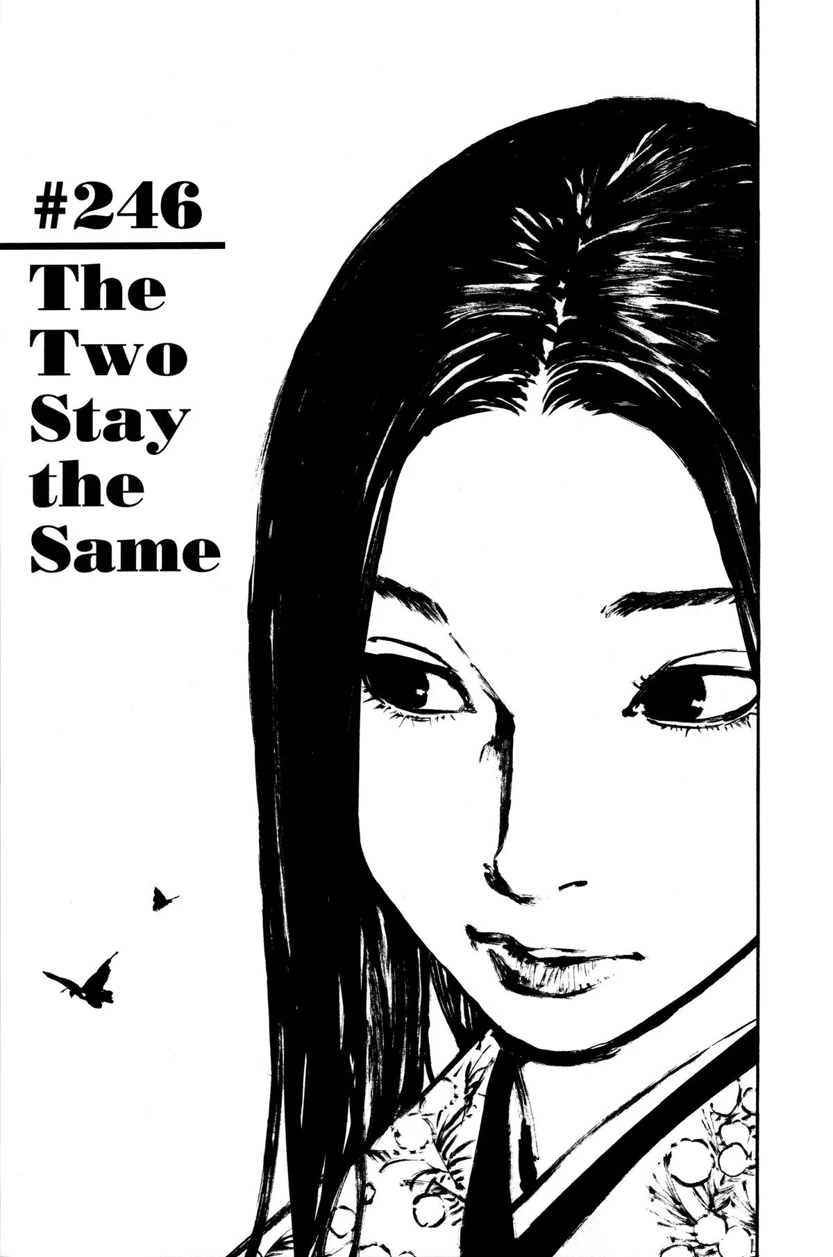 Vagabond - Chapter 246 - Page 1