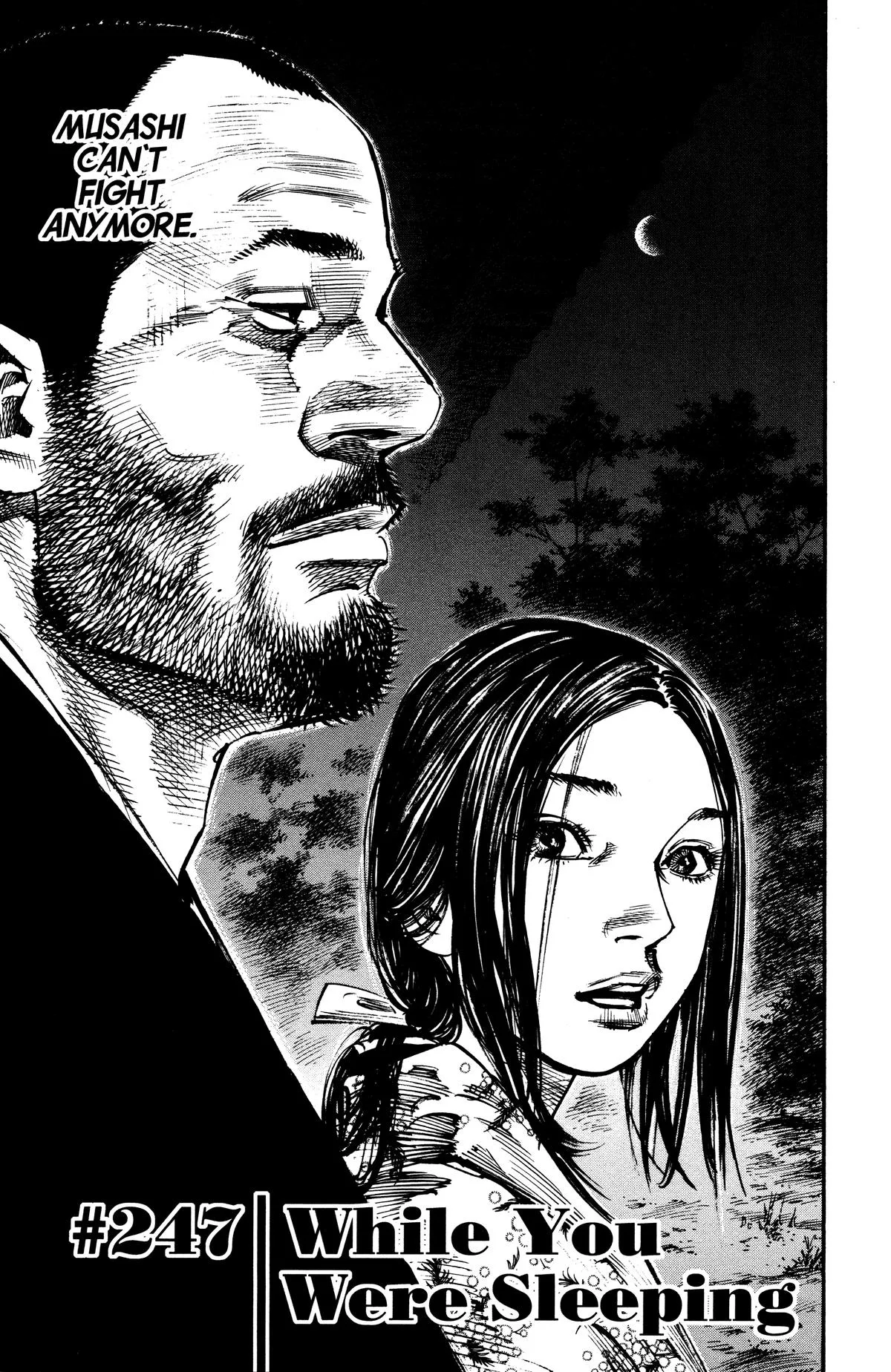 Vagabond - Chapter 247 - Page 1