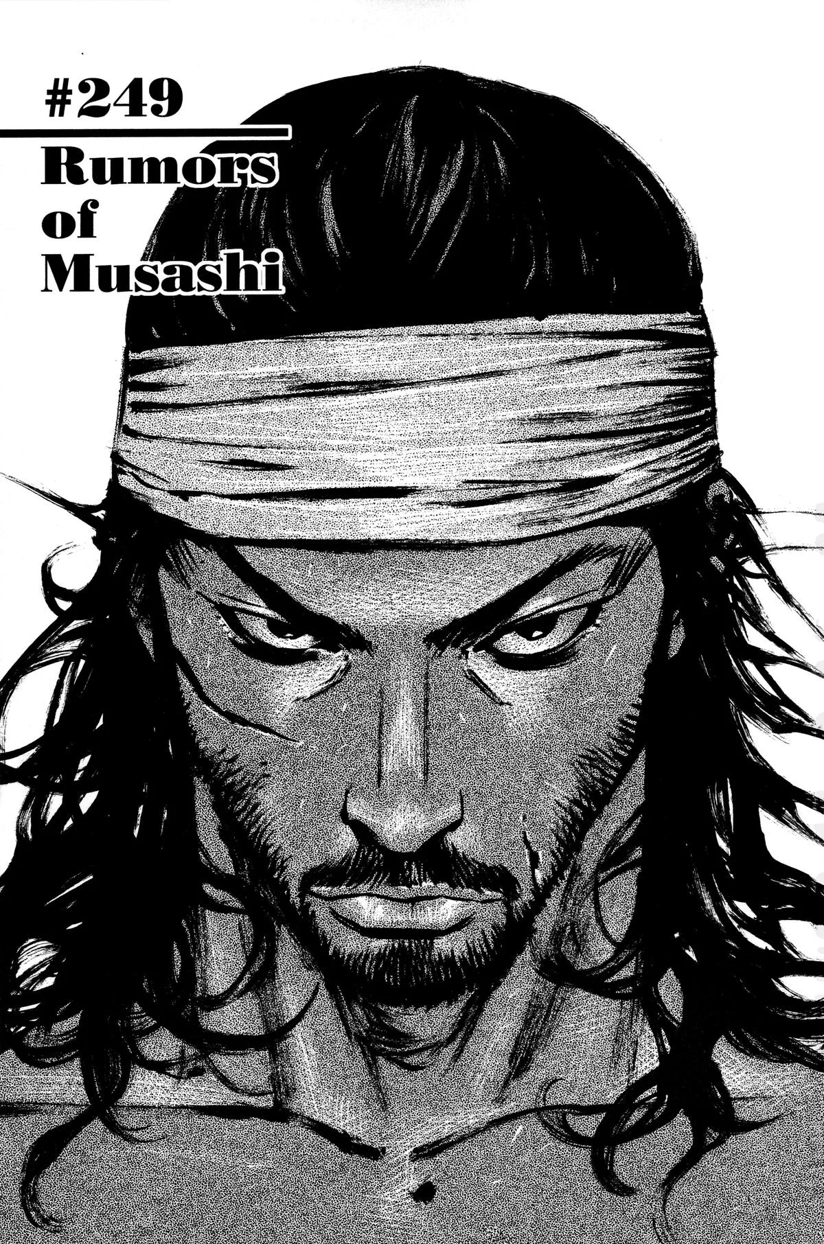 Vagabond - Chapter 249 - Page 1