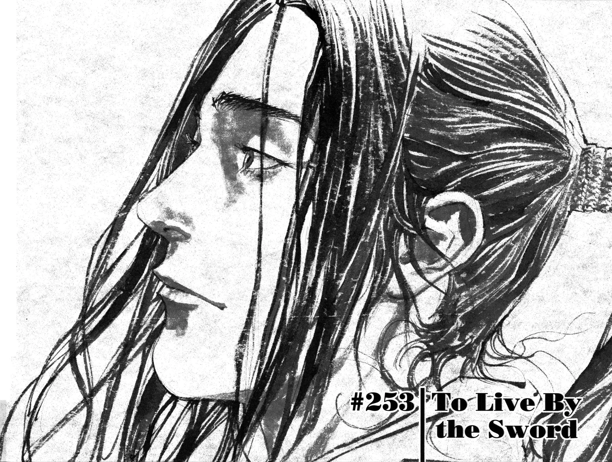 Vagabond - Chapter 253 - Page 2