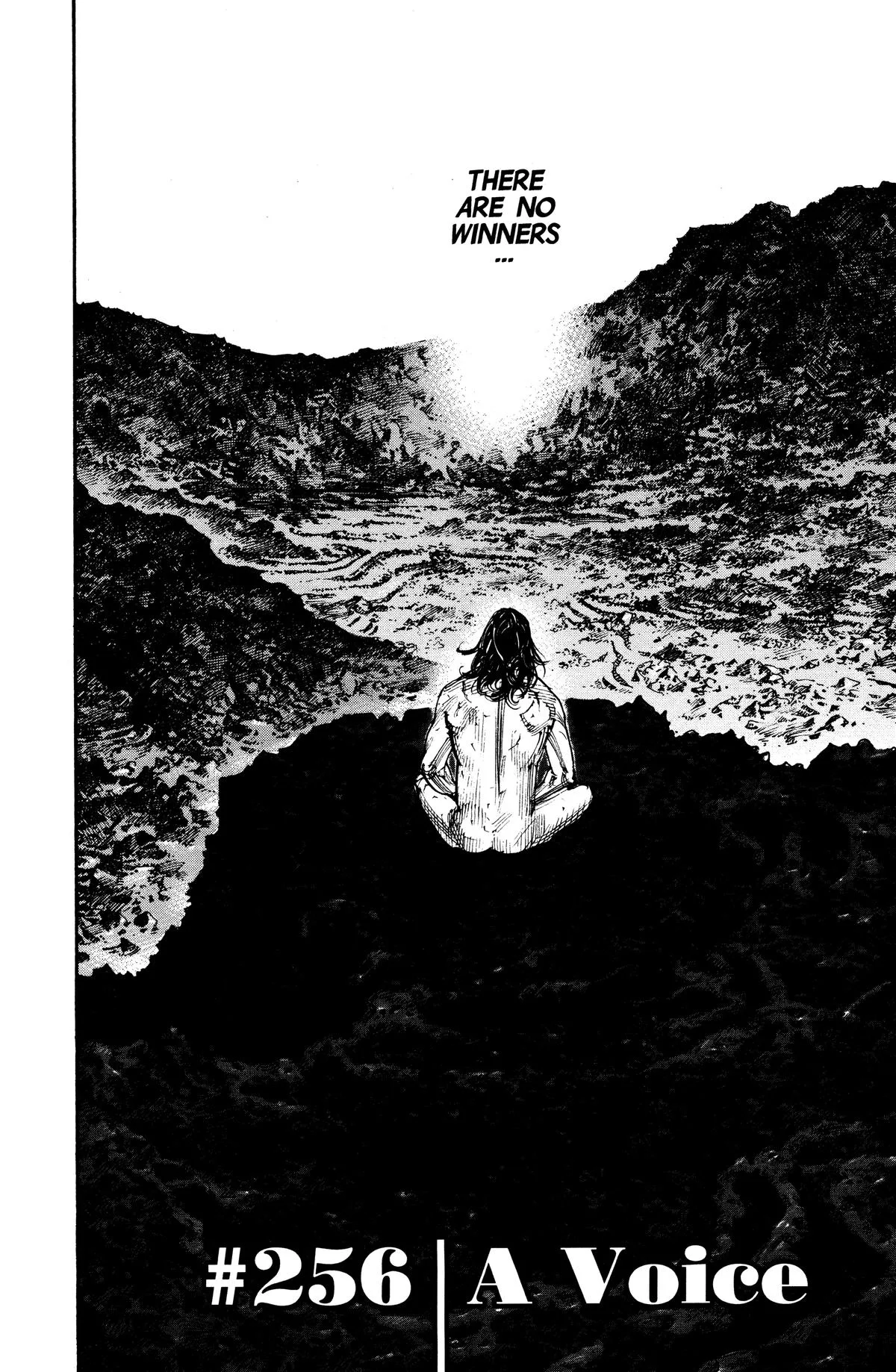 Vagabond - Chapter 256 - Page 4