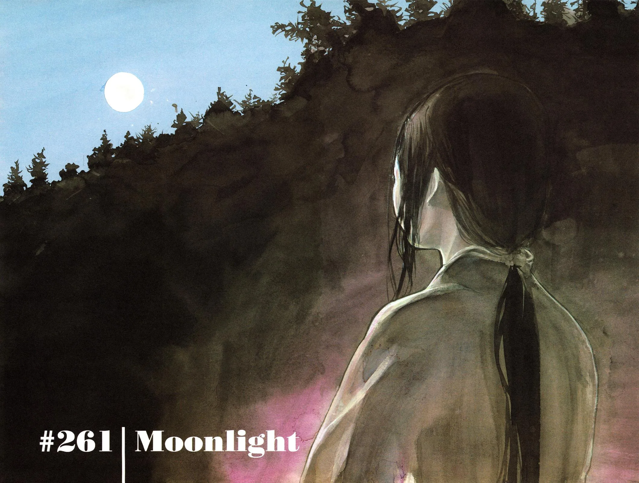 Vagabond - Chapter 261 - Page 3