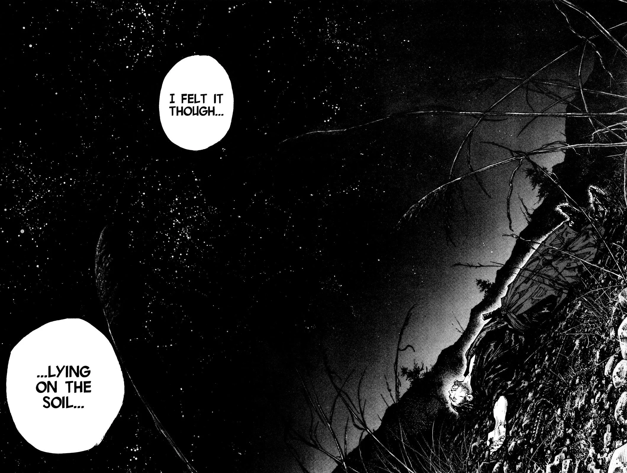 Vagabond - Chapter 311 - Page 33