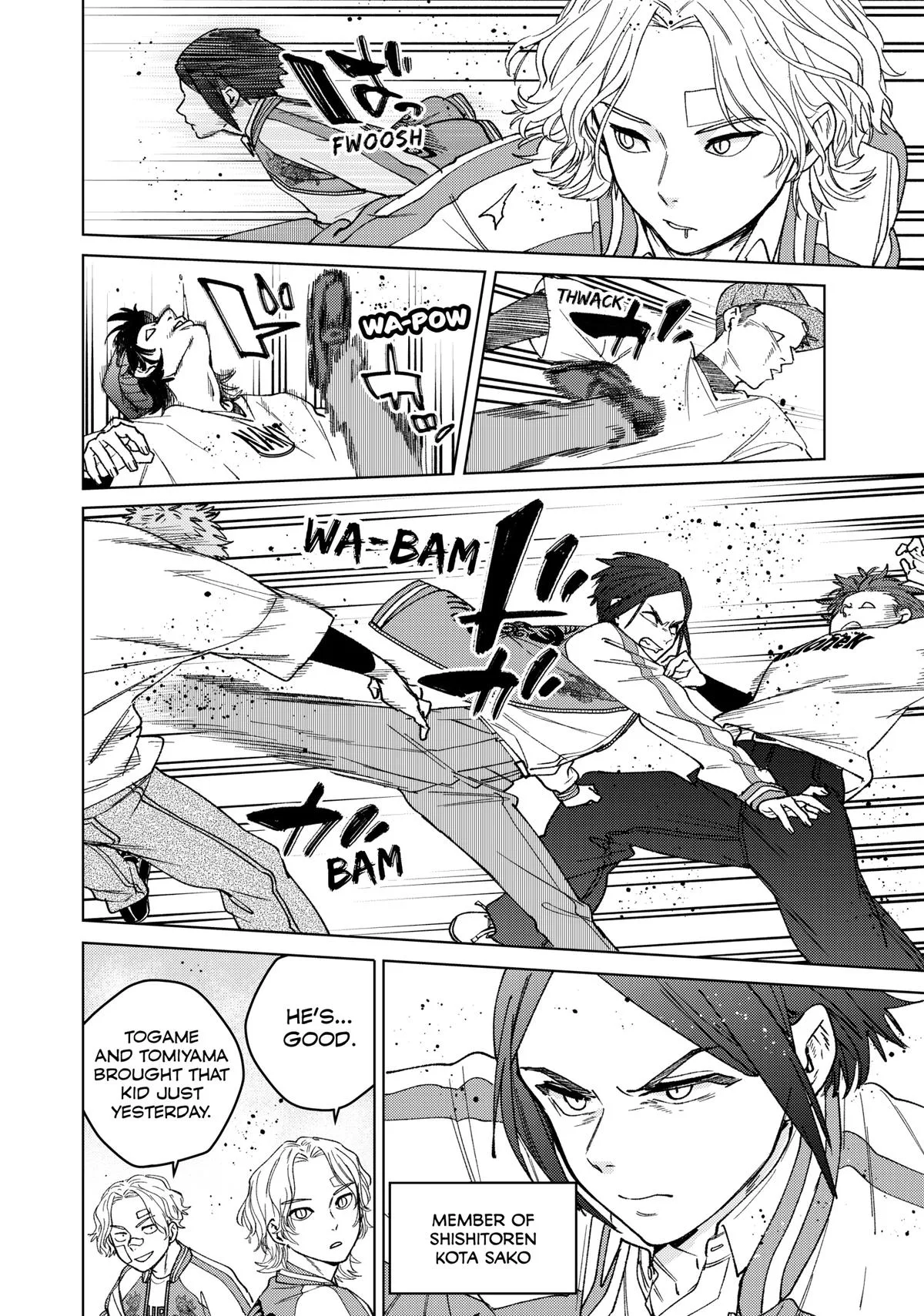 Wind Breaker - Chapter 176.5 - Page 15
