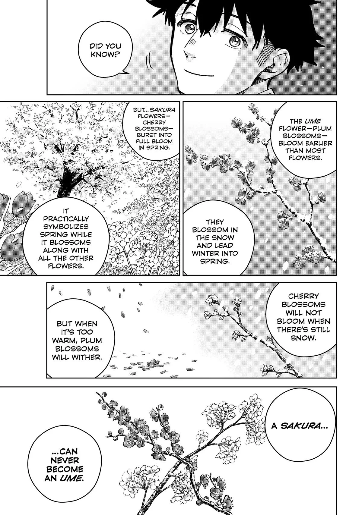 Wind Breaker - Chapter 181 - Page 13